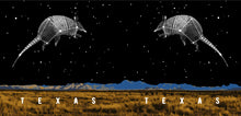 Load image into Gallery viewer, Texas Night Mug with Armadillo Constellation - Free Delivery